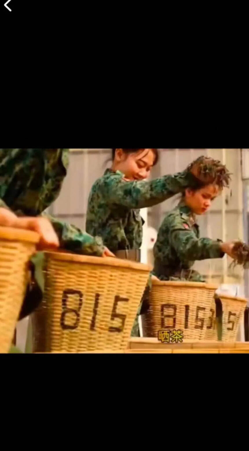 女兵采的茶“霸气”！
2013年缅甸815古树，外国