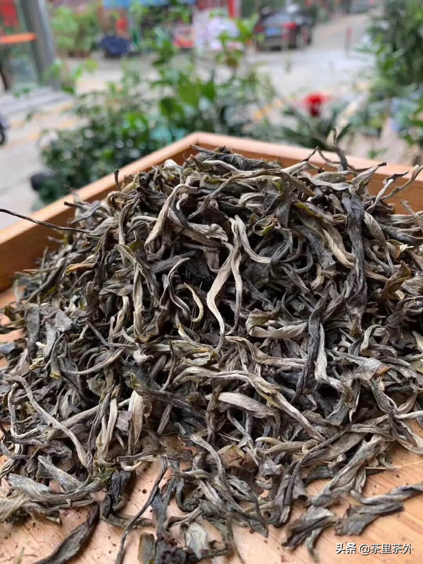 【缅甸纯古树茶】2020年缅甸古树茶！
    茶园
