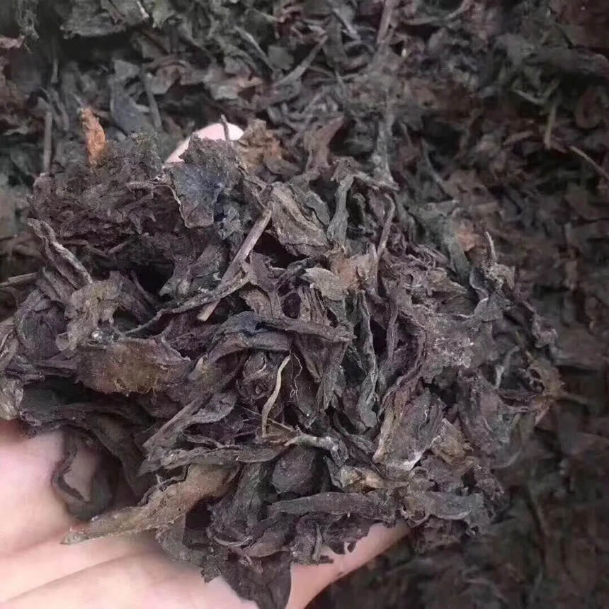 茶还是老的有味道！
96年省公司外销老散茶，易武大树