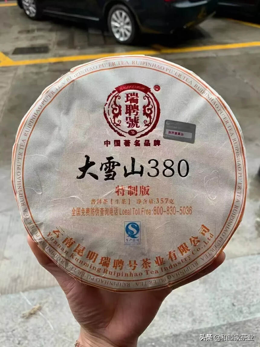 2014年瑞聘号大雪山树龄380，大西南，380年古