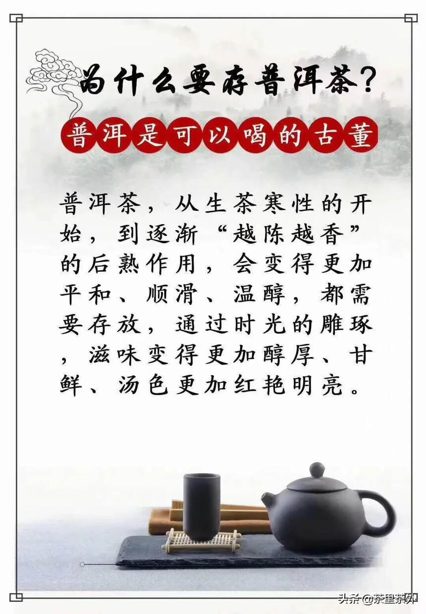 越来越多的人喜欢存普洱茶，存茶到底有哪些好处呢？#茶