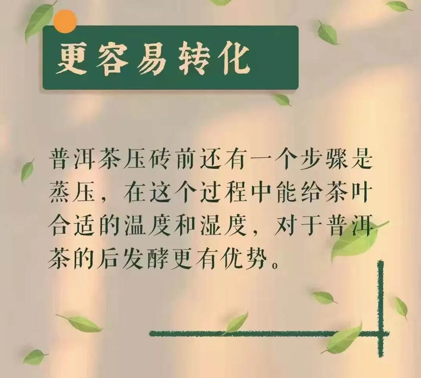 茶砖容易保存，即使撬开也不怕香气跑掉，而且内质转化明