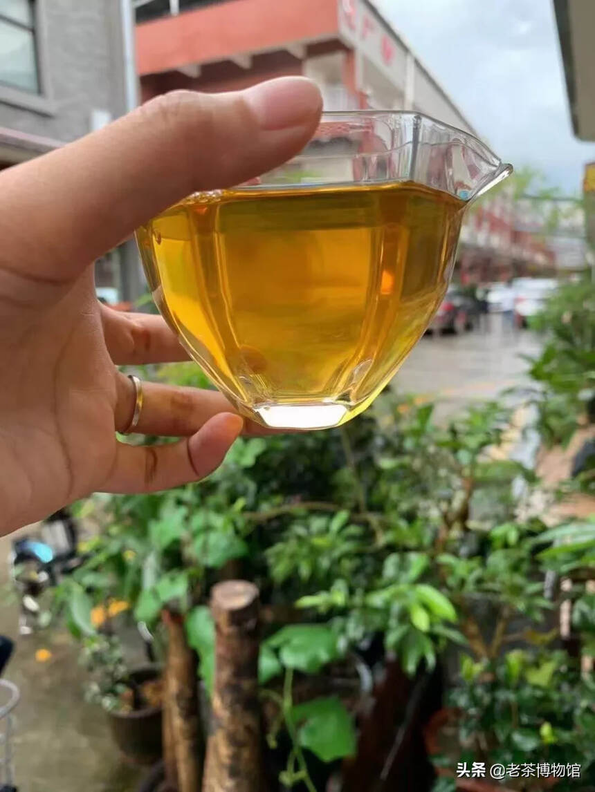 2017年天茗茶厂班章孔雀青饼，357克/
芽尖很多