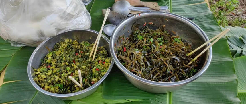 回归自然最生态的活法，小时候的味道，锣锅饭呀酸腌菜