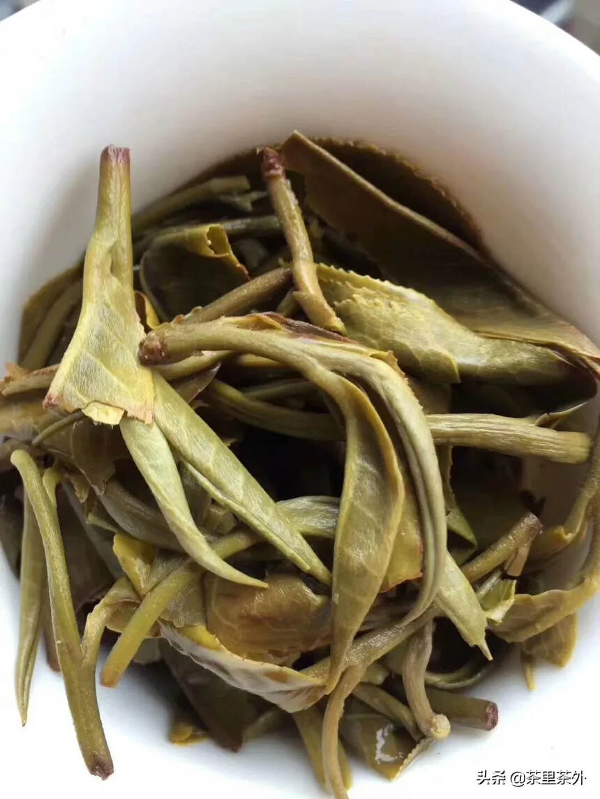 【缅甸纯古树茶】2020年缅甸古树茶！
    茶园