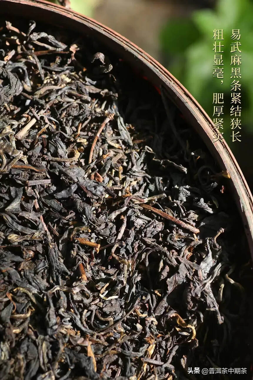 2000年易武麻黑古树茶王1500克， 条索乌润显毫