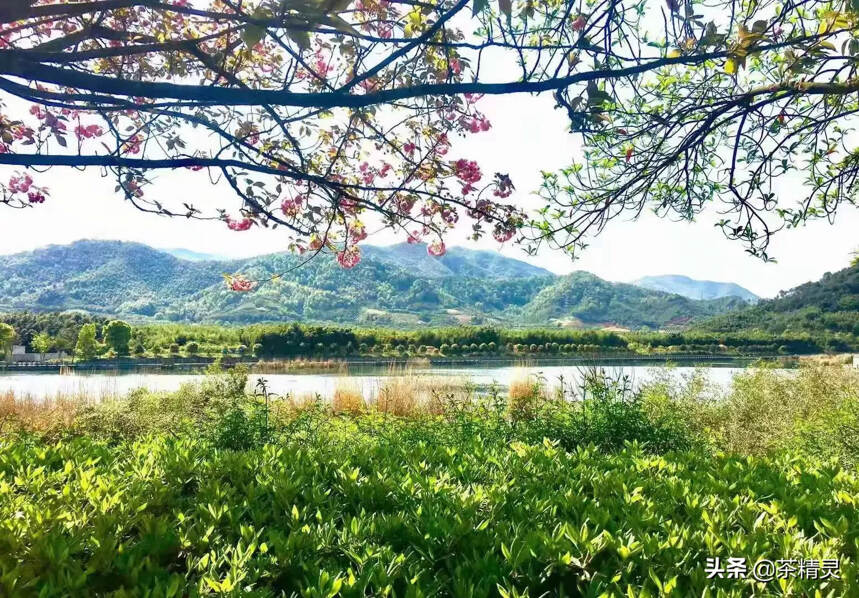 柴米油盐，喧闹街市，车马邮件，其实这世间烟火气并非俗