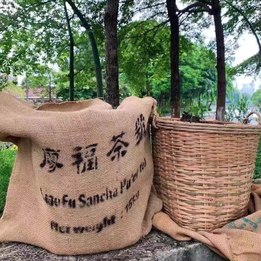 88年香港廖福散茶易武料。
廖福茶號麻袋此茶茶菁細長