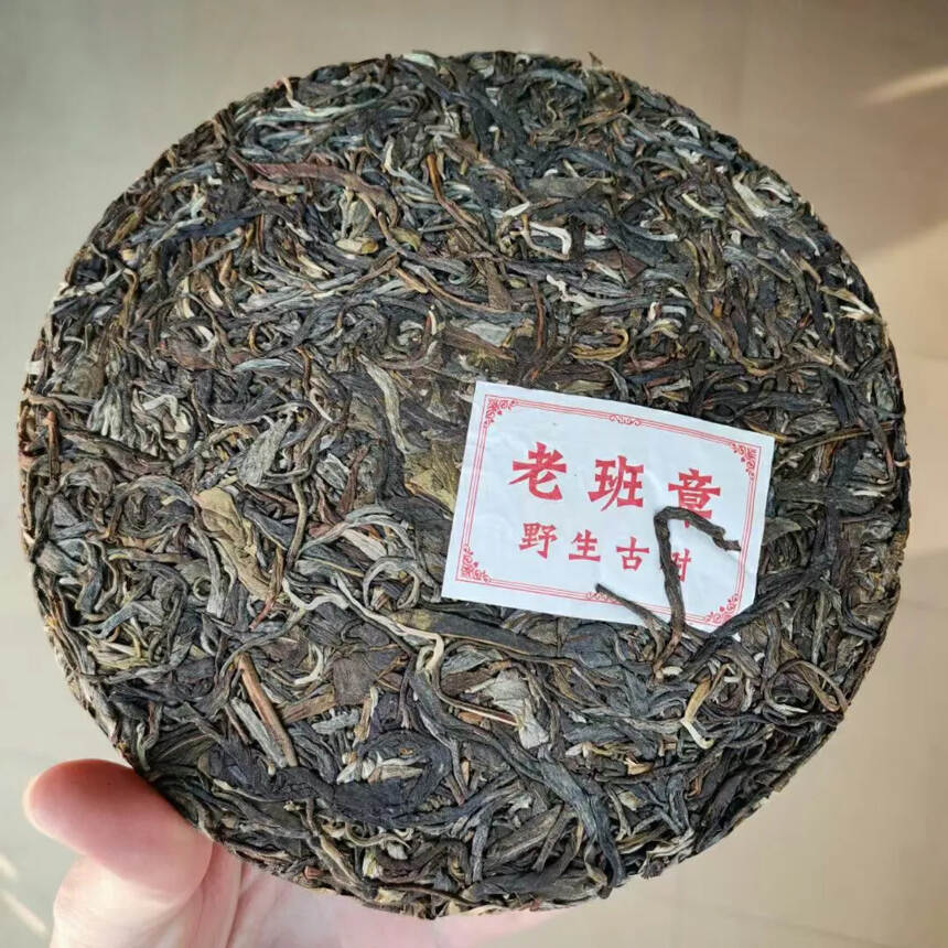 2017年老班章纯料古树茶#普洱茶# #茶生活#