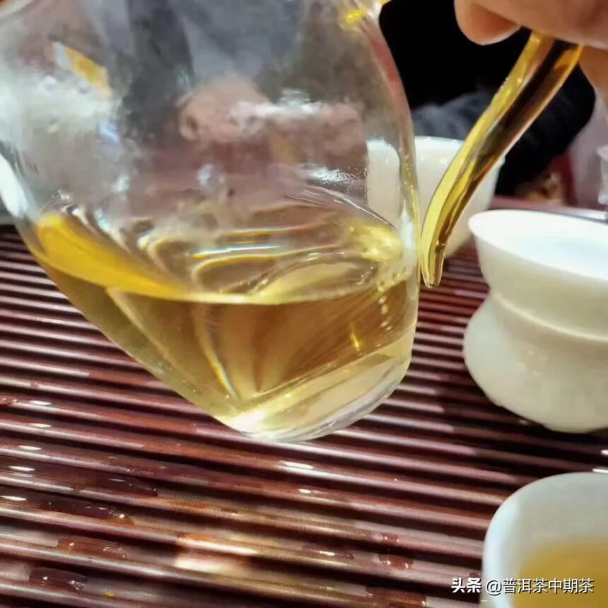 2022年头春班盆古树茶，