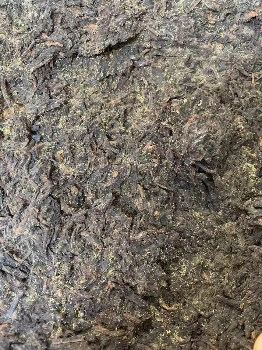 一款回头客最多的老熟茶 ，砖面上金花丰富茂盛，菌花香