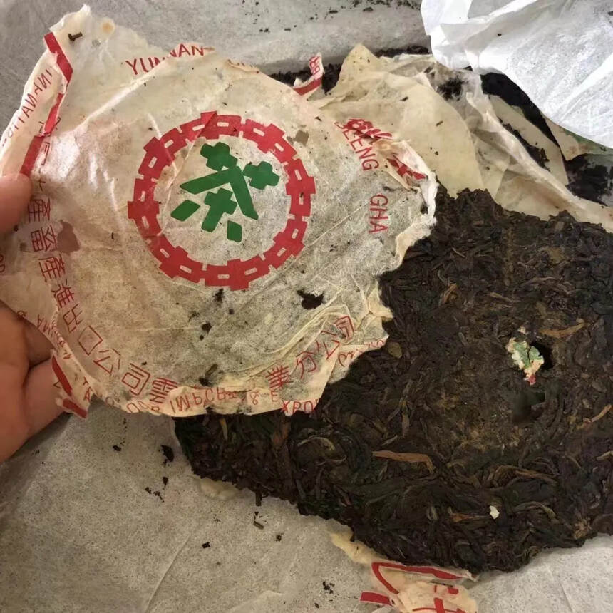 1996花园茶厂绿印老生茶，易武古树稀缺品，老味十足