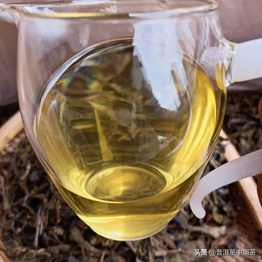 2022年冰岛古树黄片，茶汤入口就能感受到浓强的花蜜