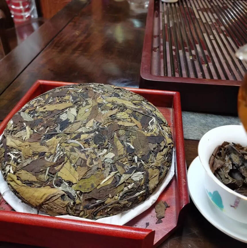 2012年南糯山古树白茶，这款白茶比福鼎白茶更厚重！
