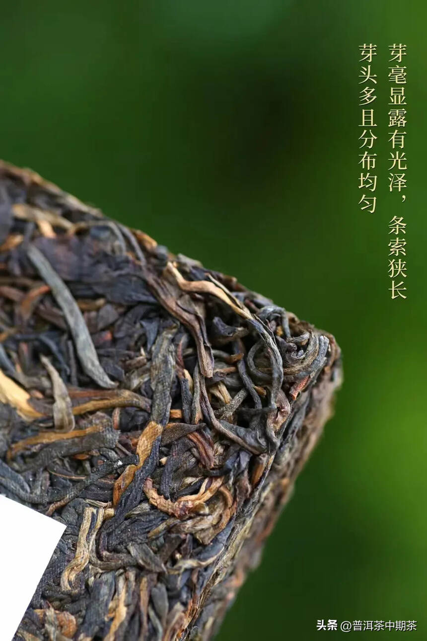 2002年易武茶王张毅
【赏状茶王】250克/砖、1