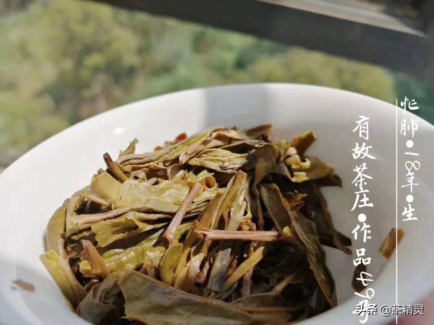 忙肺
有临沧四小龙之称的2018年“忙肺”头春茶，香