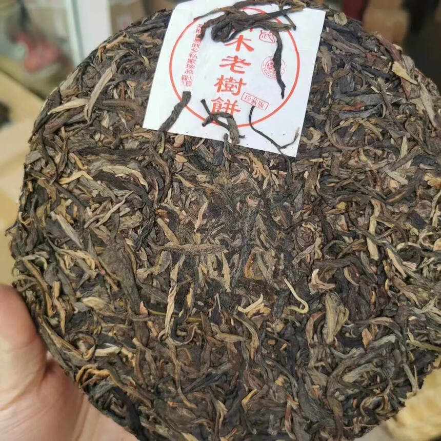 #普洱茶# 2005年易武乔木老树饼生茶，干净中期茶