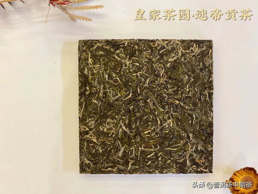 2022年迷帝大树茶皇家贡茶1000克