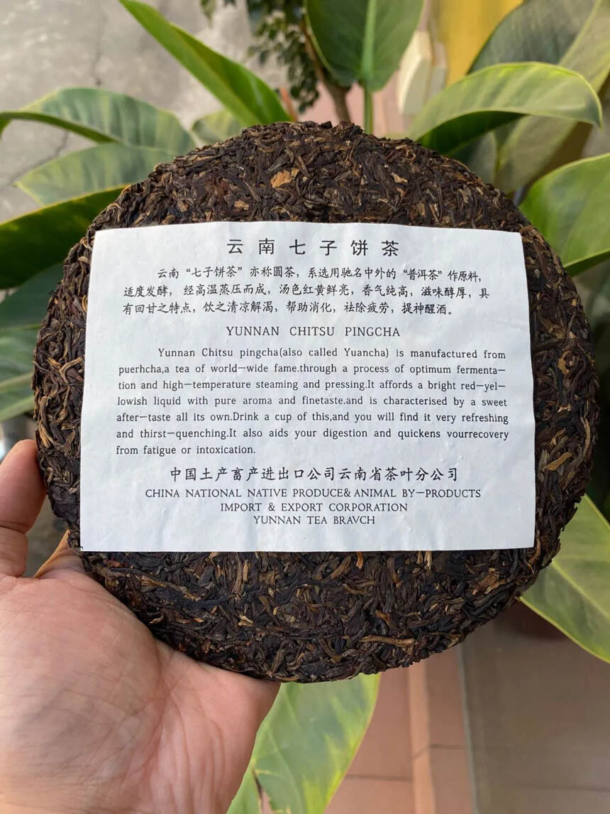 02年乔木老树圆茶珍藏品 条索粗壮 回甘生津 带苦底