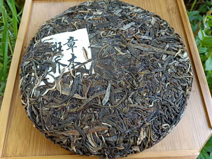 05年班章乔木，茶味重，实惠口粮茶#普洱茶# #茶生