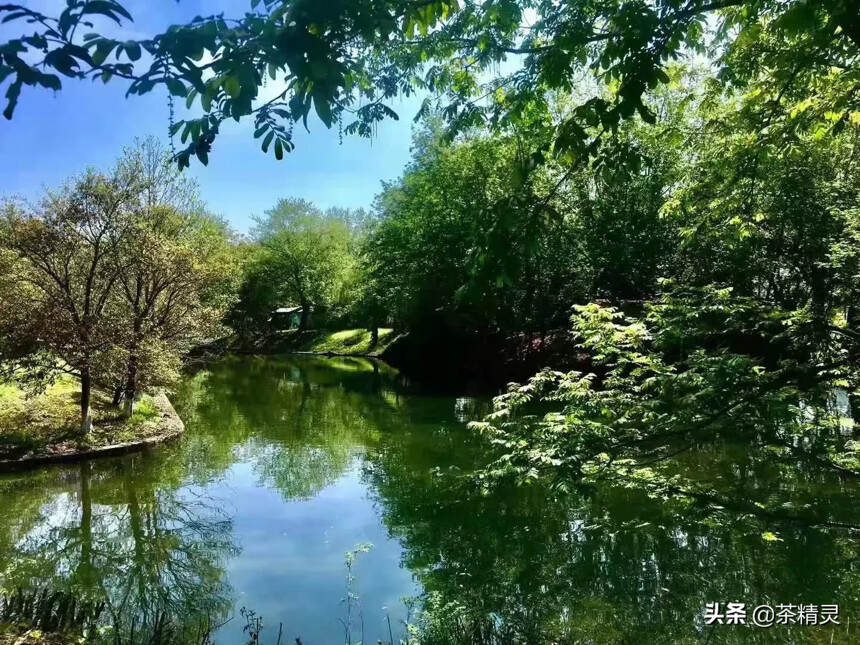 柴米油盐，喧闹街市，车马邮件，其实这世间烟火气并非俗