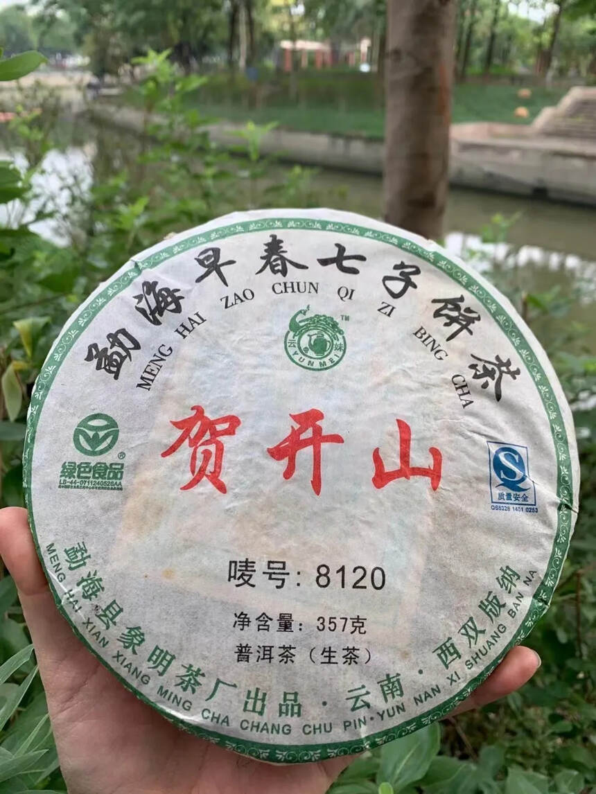 2008年象明茶厂贺开山#普洱茶# #茶生活#