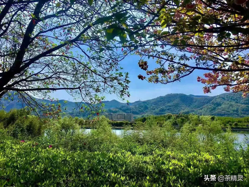 柴米油盐，喧闹街市，车马邮件，其实这世间烟火气并非俗