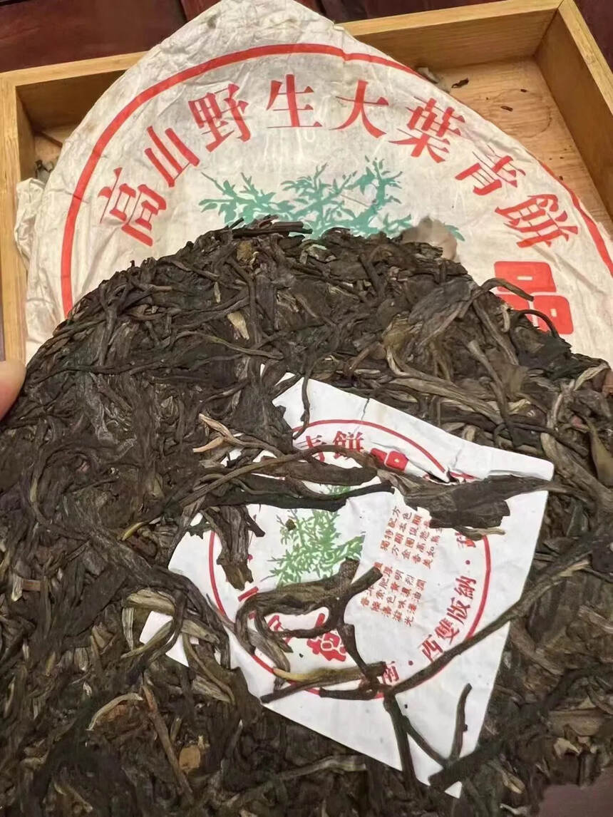 2005年高山野生大叶青饼#普洱茶# #茶生活#