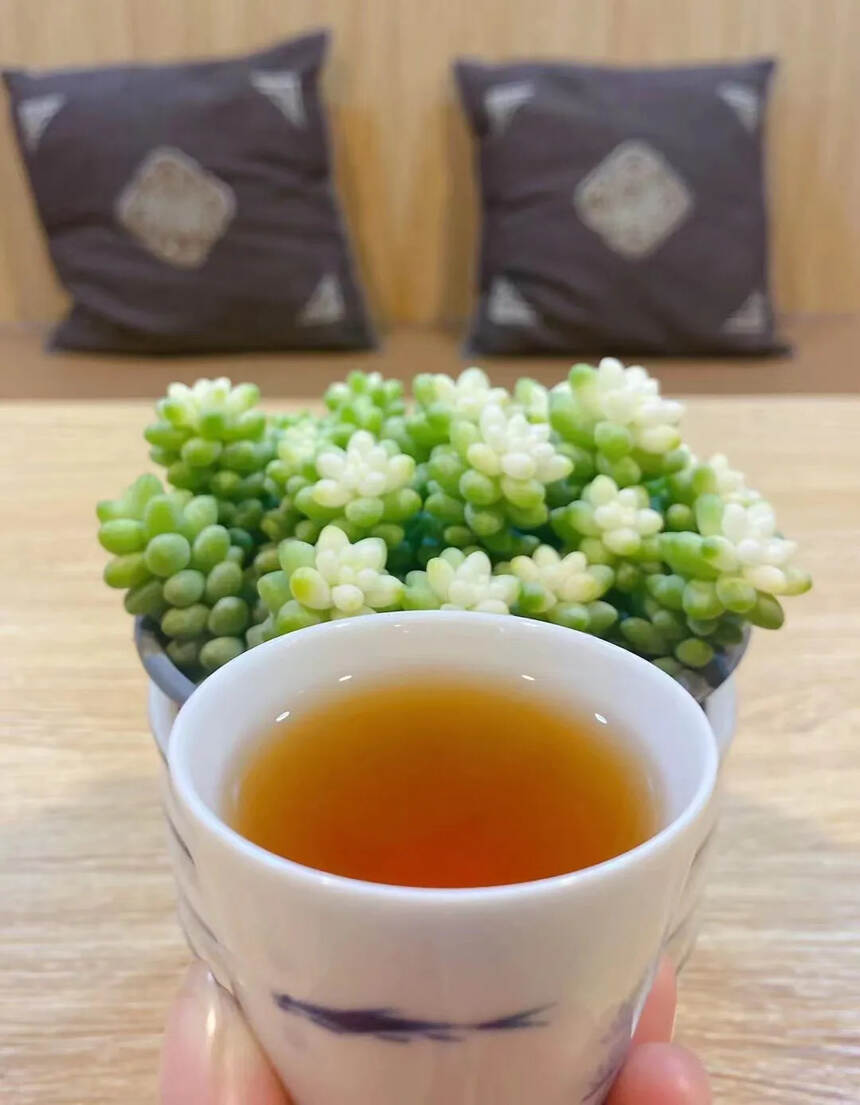 #普洱茶# 2010南糯古树茶王#茶生活#