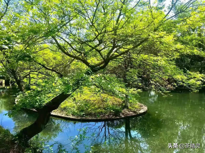 柴米油盐，喧闹街市，车马邮件，其实这世间烟火气并非俗