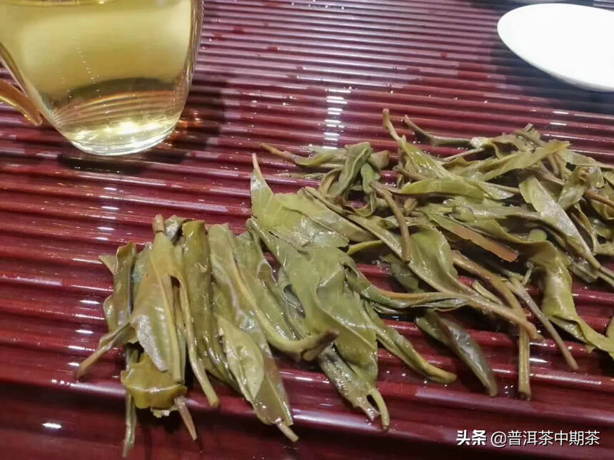 2022年帕沙茶区头春-犀牛塘！
少有人知的山野稀品