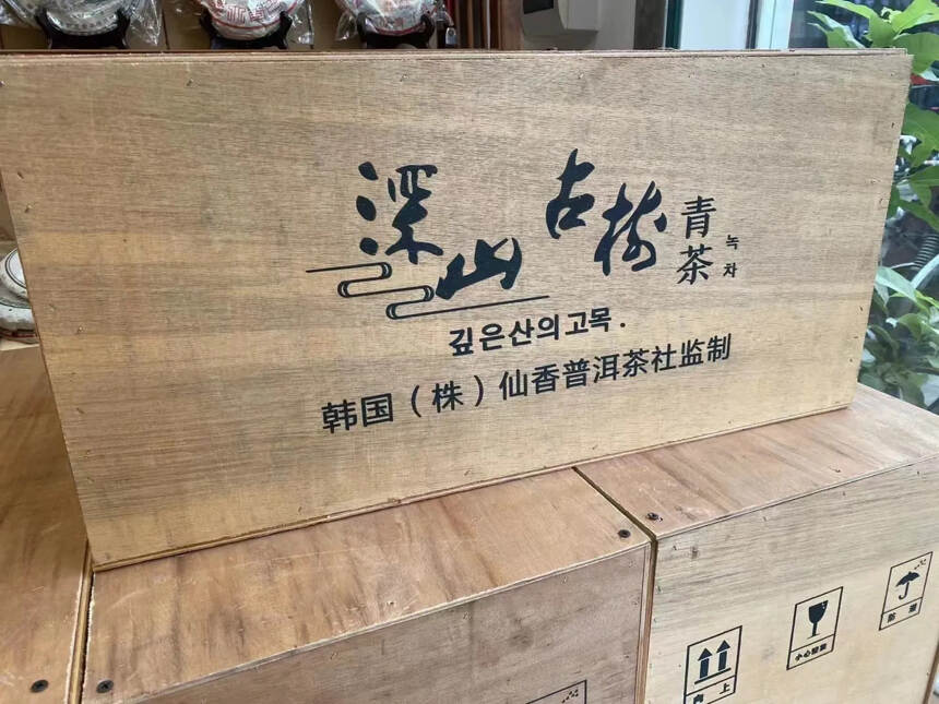 99年销韩深山古树，专供出口，干仓存放，盒子包装，茶