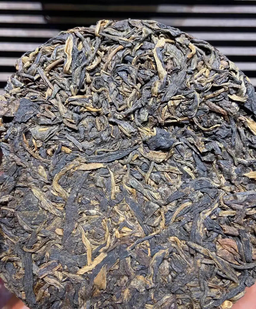 2000年班章茶柱，2公斤一柱，昆明干仓，芽头密布，