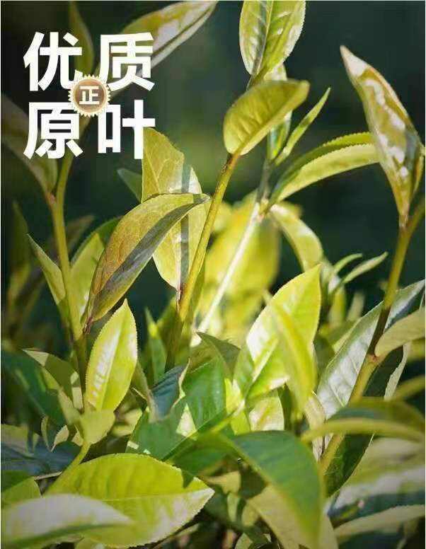 那卡古树茶是勐宋茶区最具代表性的茶，那卡寨子以出产品