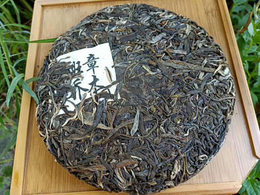 05年班章乔木，茶味重，实惠口粮茶#普洱茶# #茶生