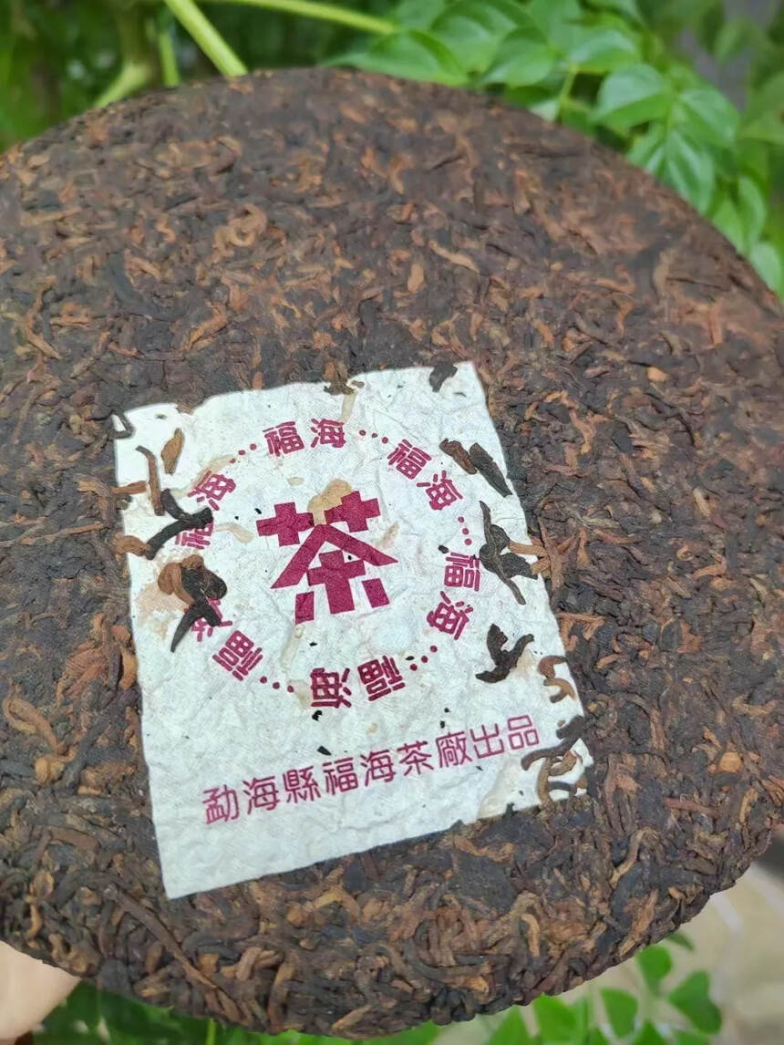 05年  福海 7576   老熟茶，口感醇厚润滑，