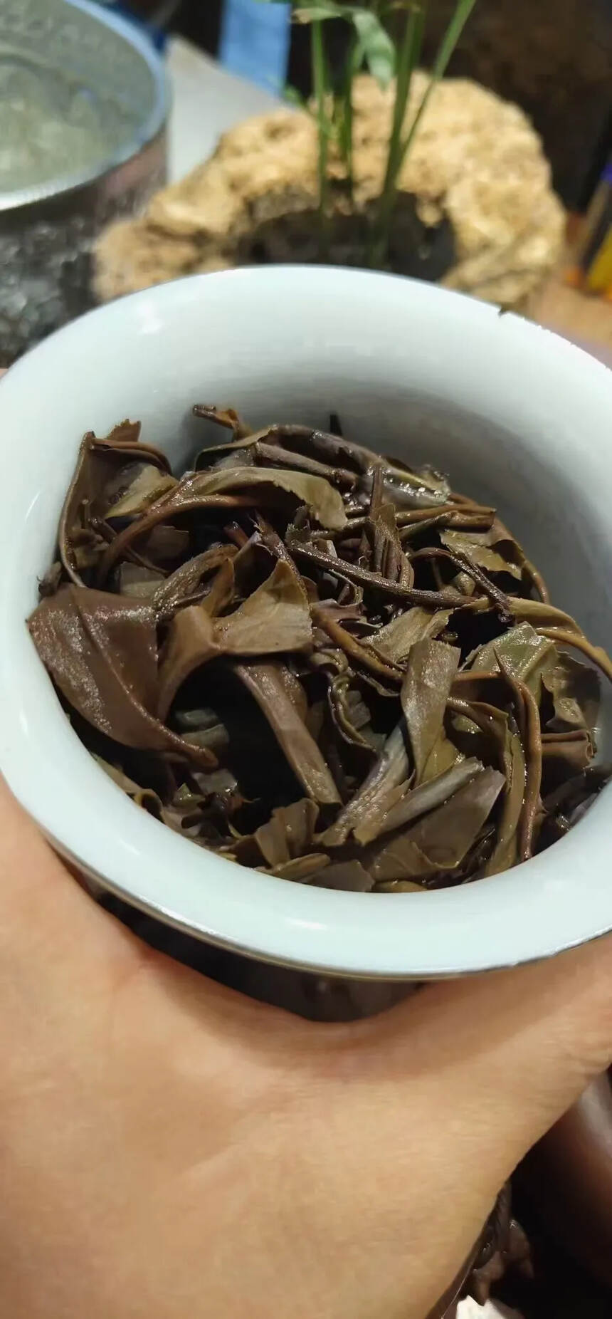 2002年勐海出品绿大树2，易武正山野生茶，条索粗大
