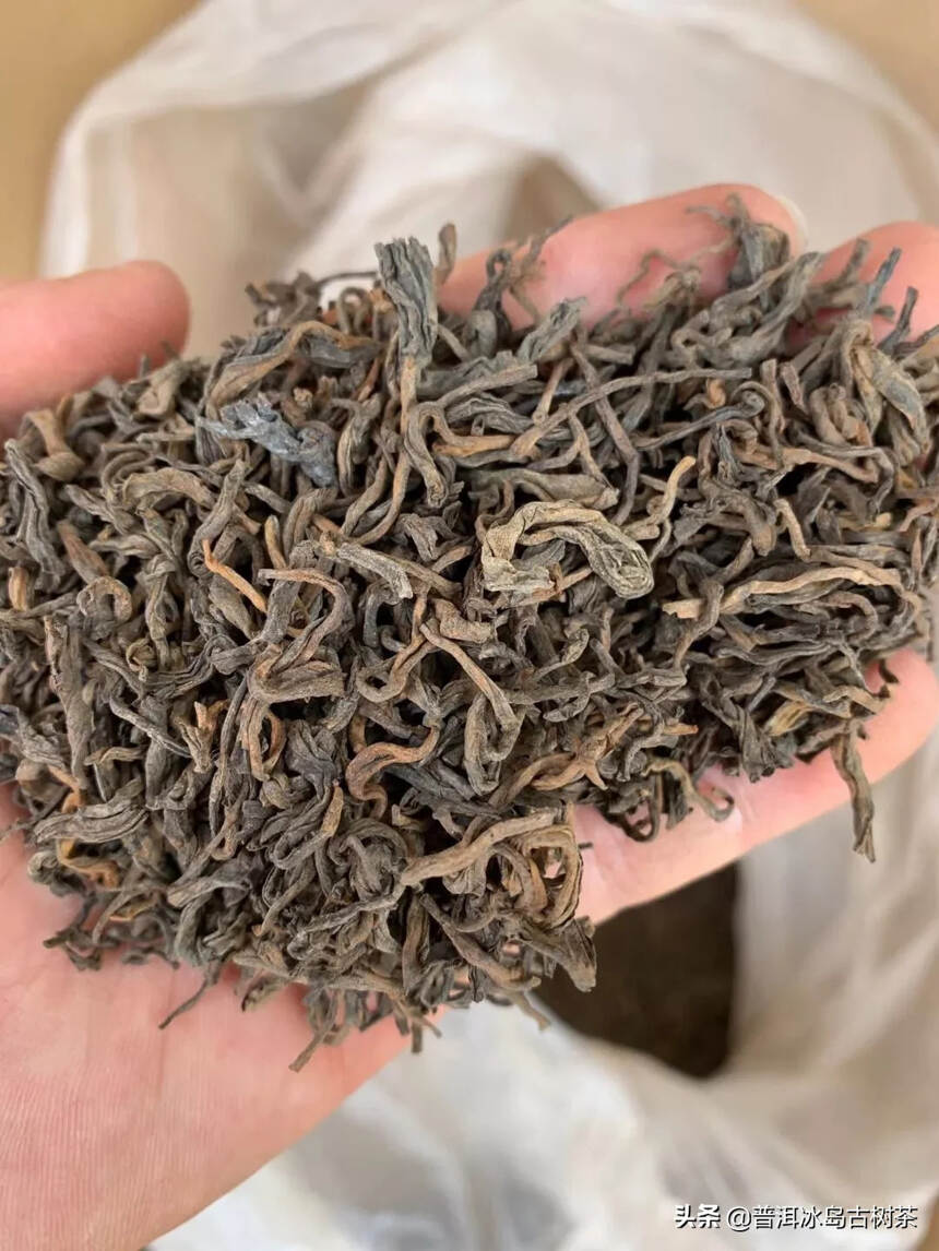 80年代老熟茶，白针金莲老散茶！仅余4600克！处理