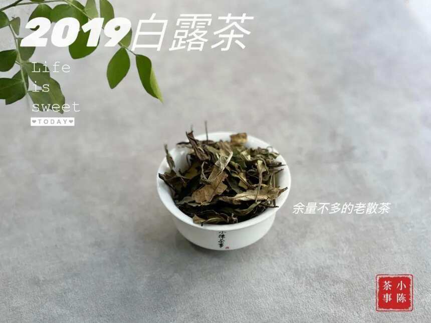 清盈、空灵，稠滑似浆，2019白露茶，来自三年前仲秋的清梦星河，