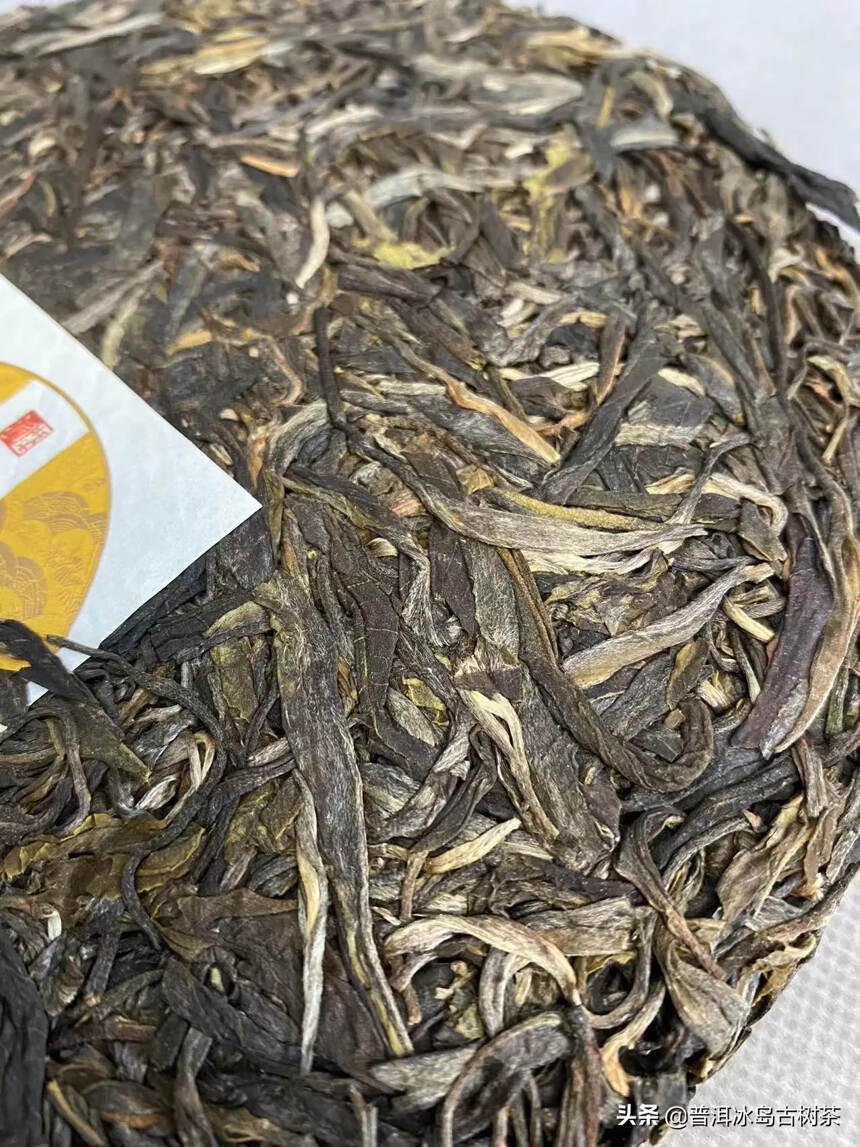 #茶# [微风][微风]娜罕古树茶鲜叶特征：

属邦