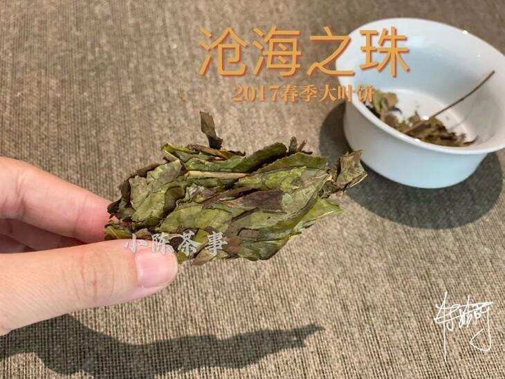 白茶饼泡不开、泡不散，多半是遇到3种情况，看看你踩了哪个坑？