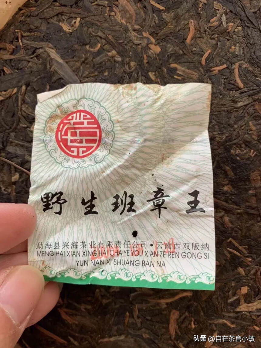 兴海顶级2006年100%古树班章王老班章古树乔木茶