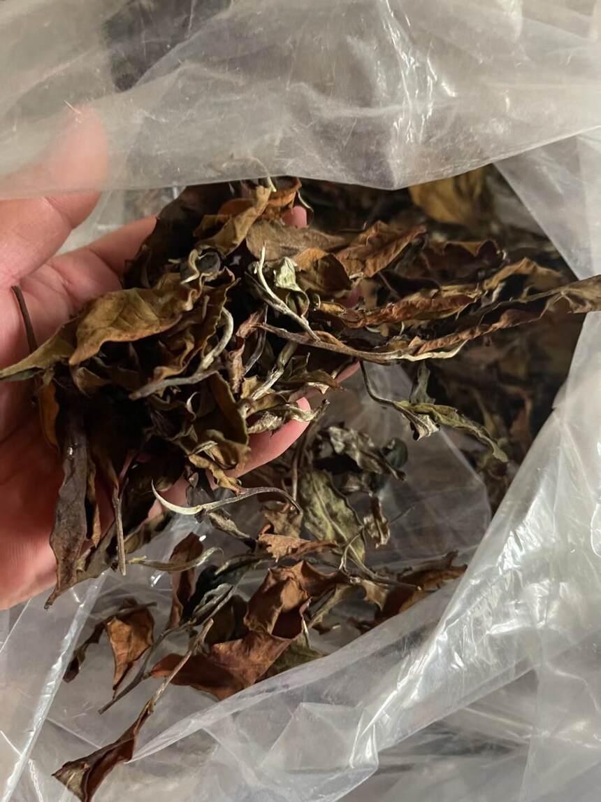 2020年帕沙古树白茶。茶农一手货源，入口即甜，无苦