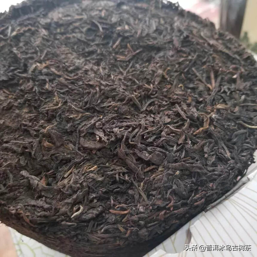 60年代樟香老生茶茶柱5000克！樟香顺滑～陈香足耐