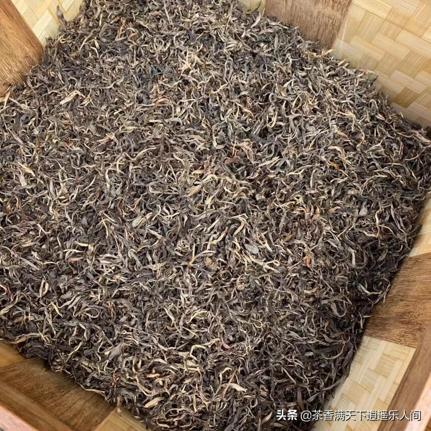 2015年老曼峨大树茶，有一筐20公斤左右！全买的送