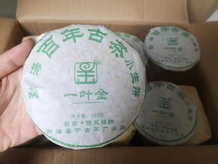 （一叶金）百年古树小生饼，2008年开古茶厂出品！精