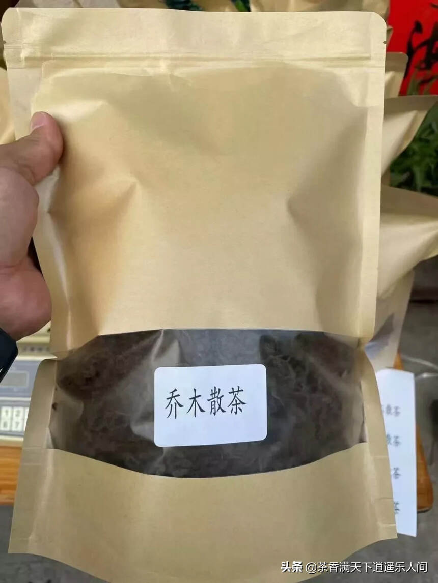 #喝茶# 抄底老熟茶。90年代易武老乔木散茶老熟茶，