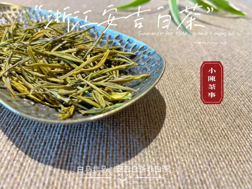 茶叶都要放在冰箱冷藏吗？绿茶、白茶、红茶，哪些可以不放冰箱？