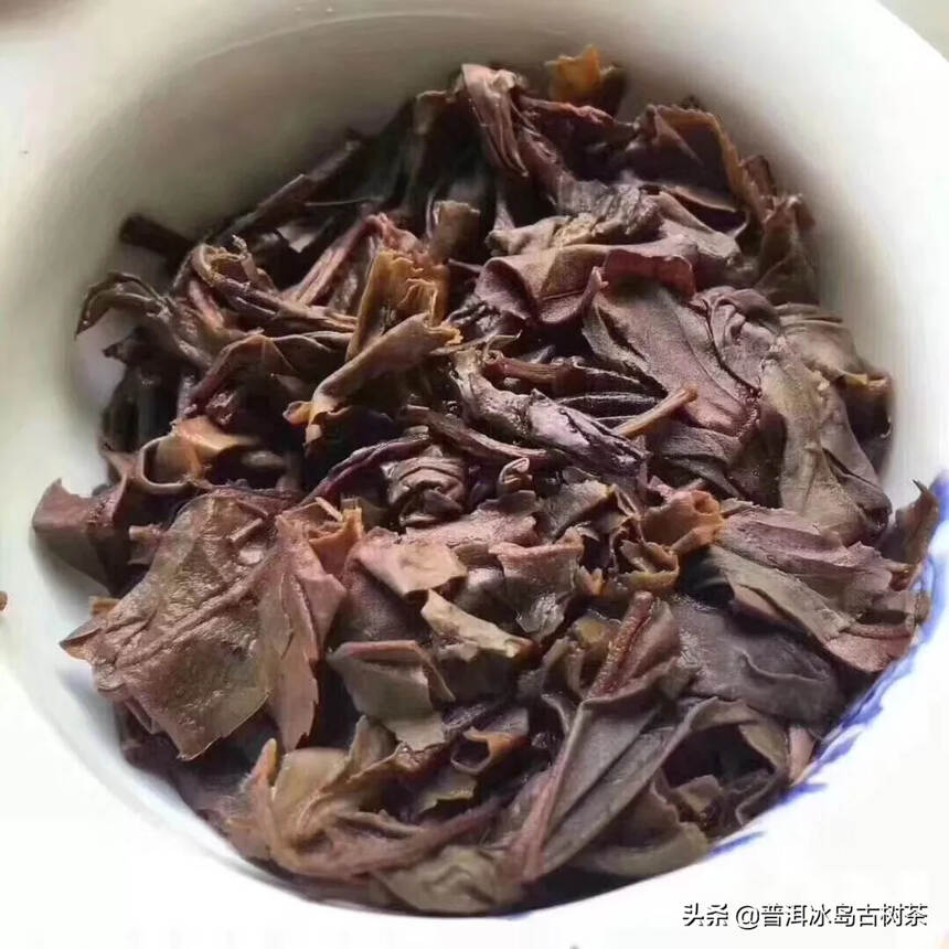 98年乔木古树虫眼生茶，品相极佳，纯干仓，茶油多，传