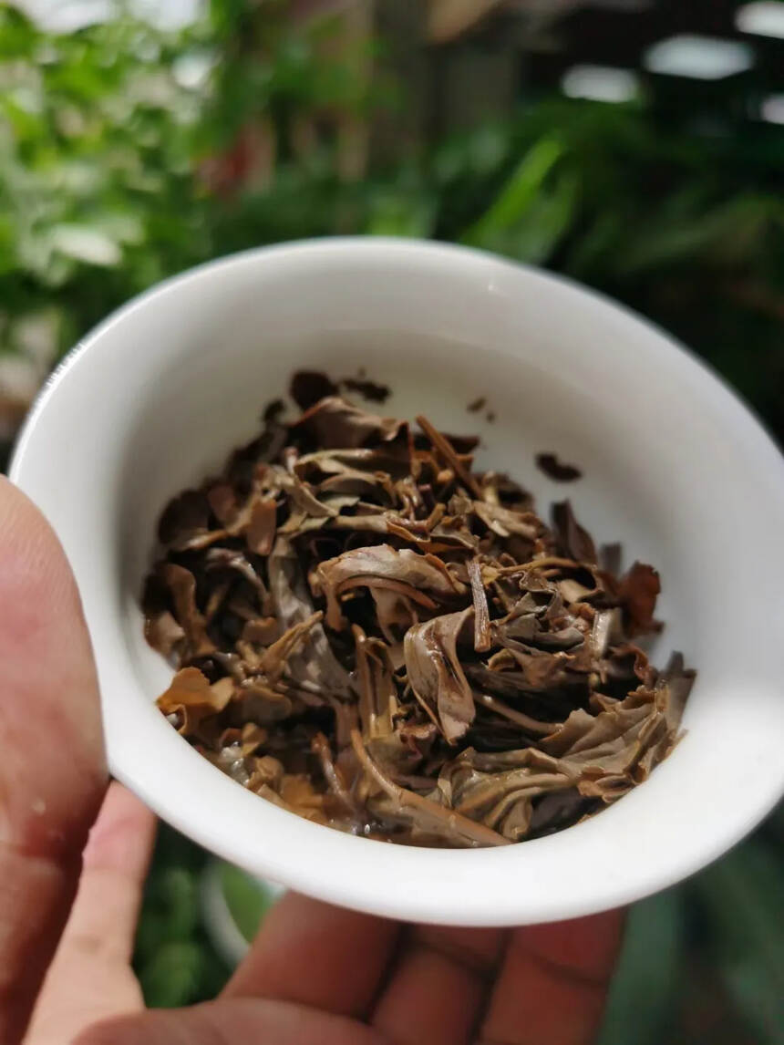 04年｜六大茶山茶厂
（原厂Z品）班章有y机茶 大白